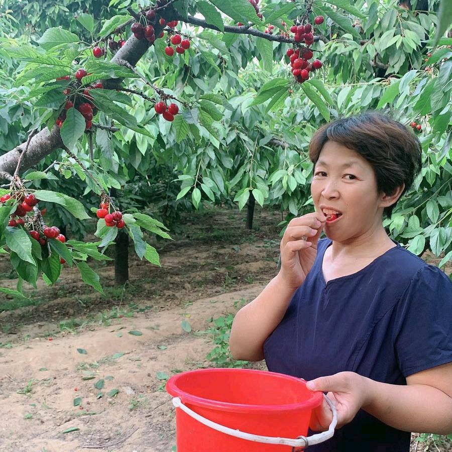 刘静茹