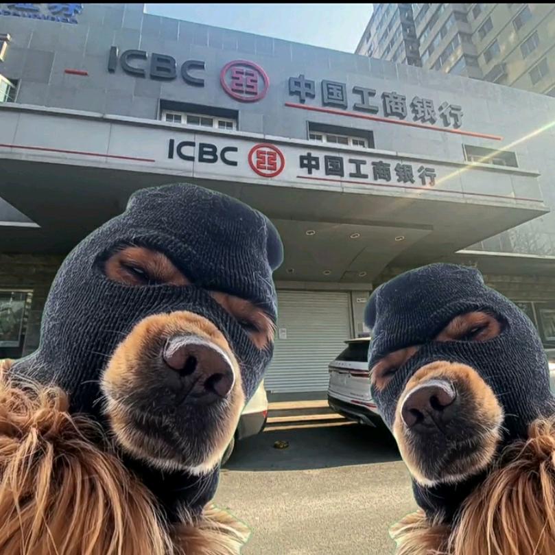 🍀马老师🍀