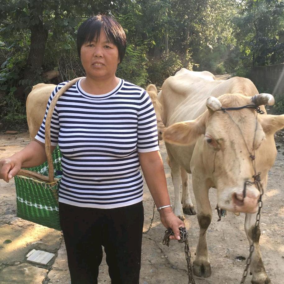 小丽家憨婆婆