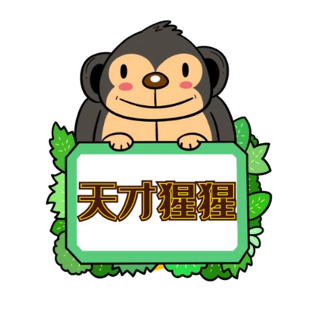 天才猩猩盒美电子教育专卖店