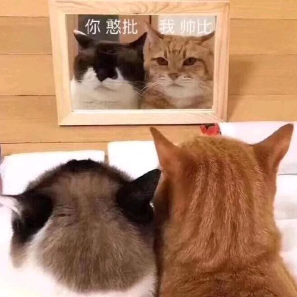 泞