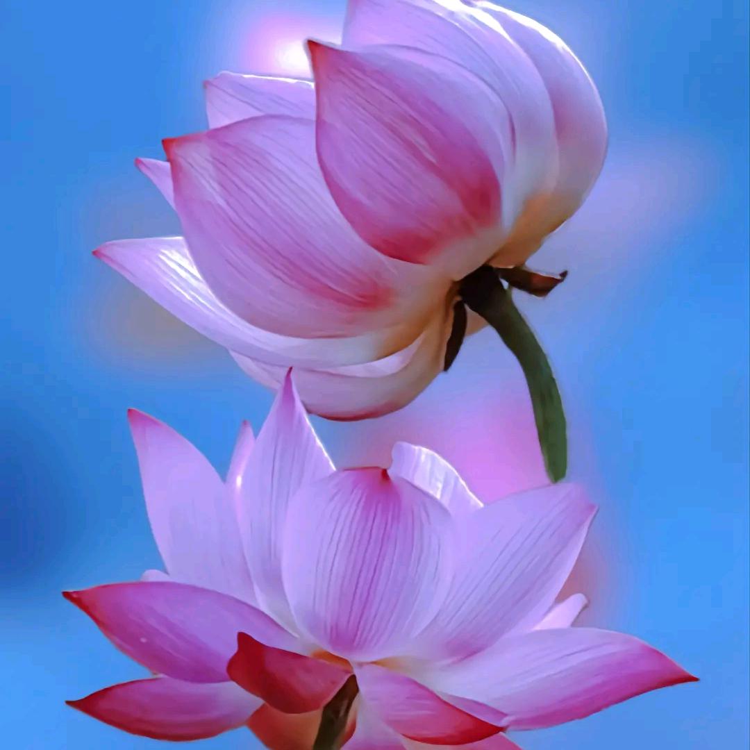 智修2