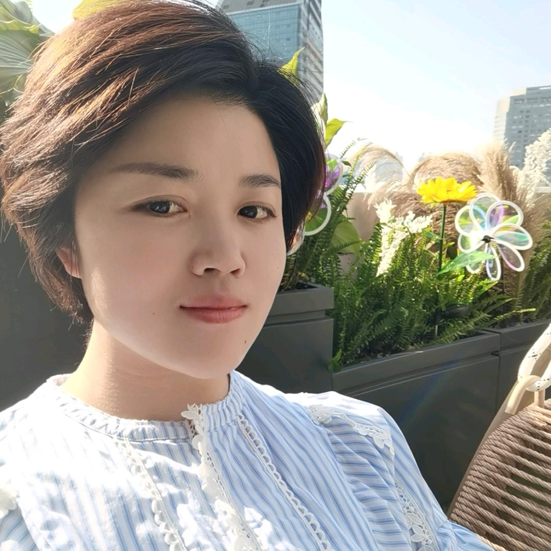 夏书茶