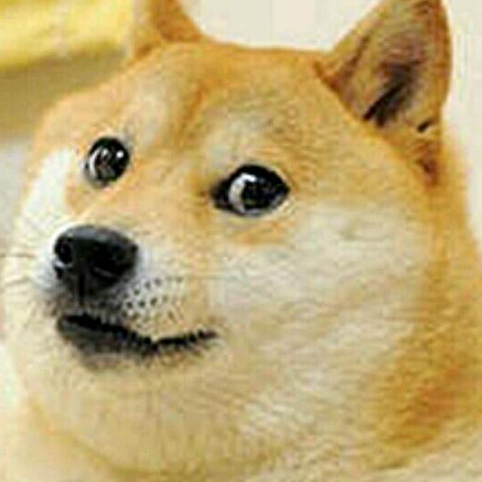 酸菜鱼（火炬之光）