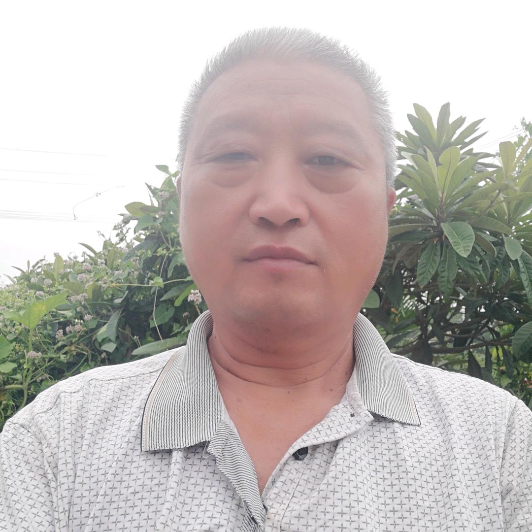 白菜豆腐