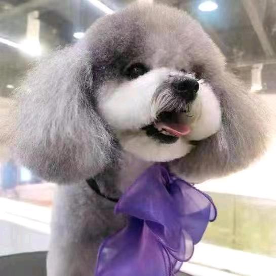 眼睛大队🕶胡汉三