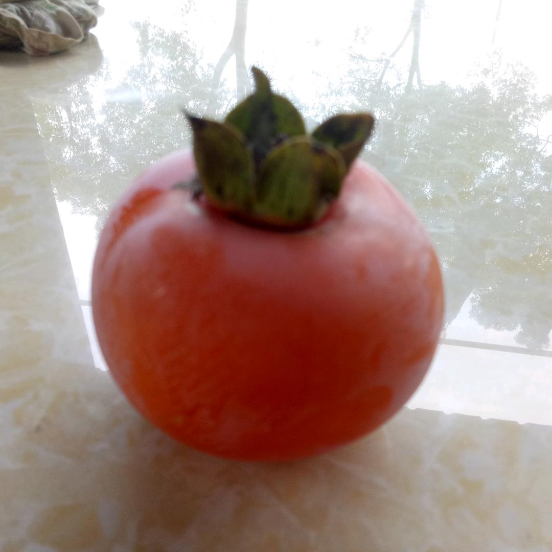 莎宝宝