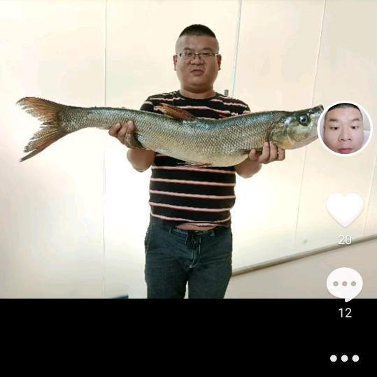 奇迹在现（谢凌）
