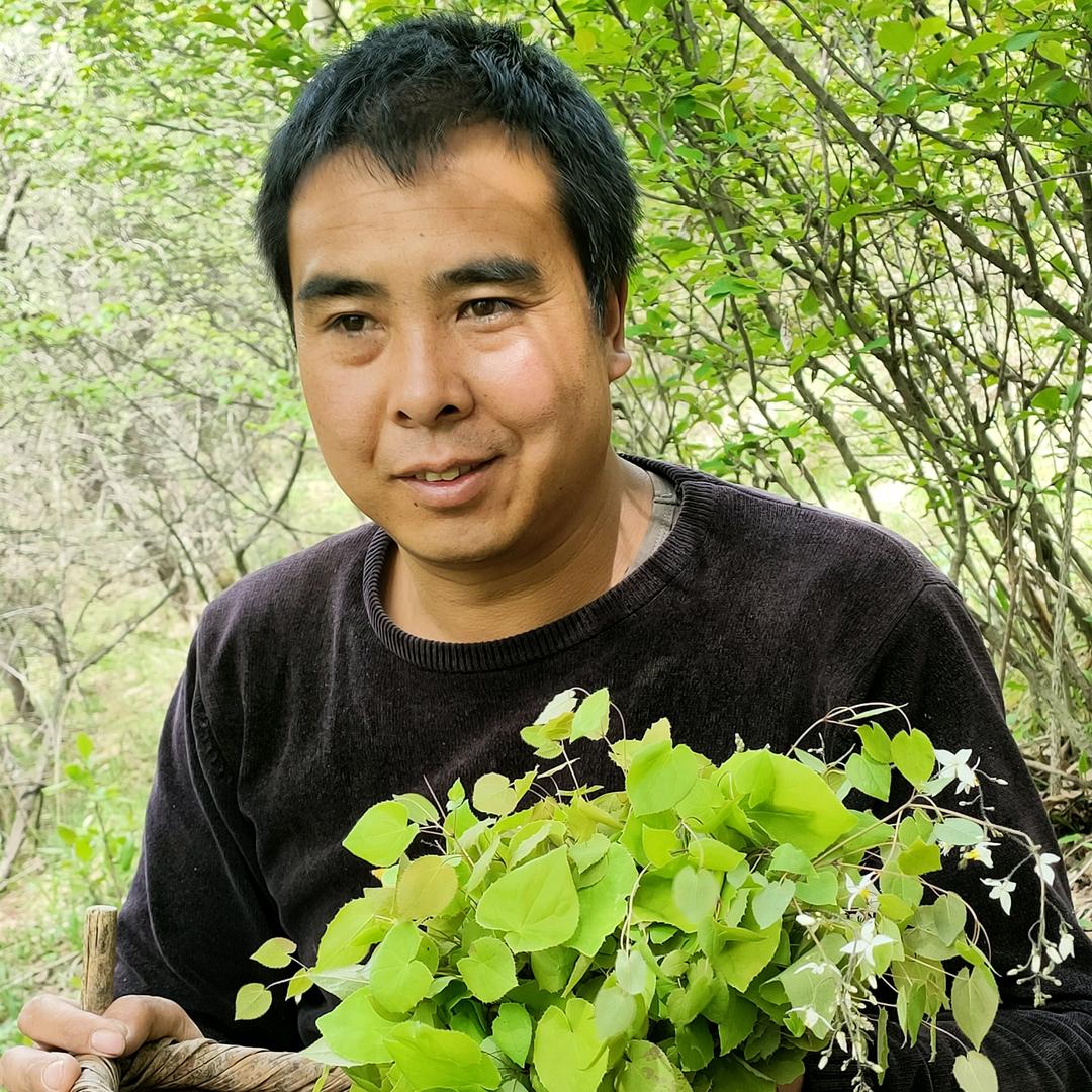 包进忠农特