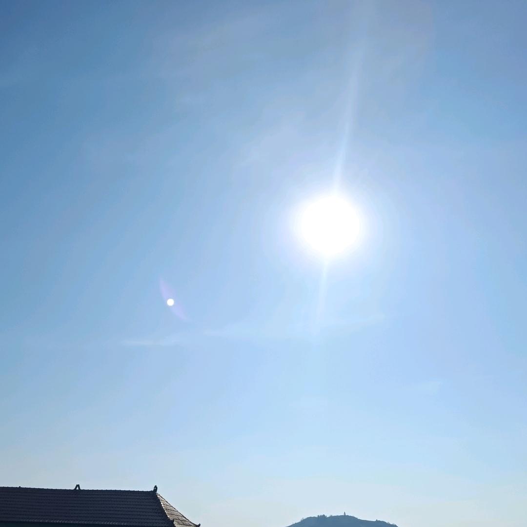 情哥