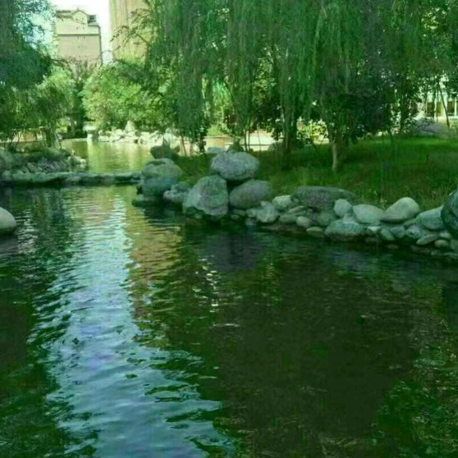 用户4523976350082大眼睛