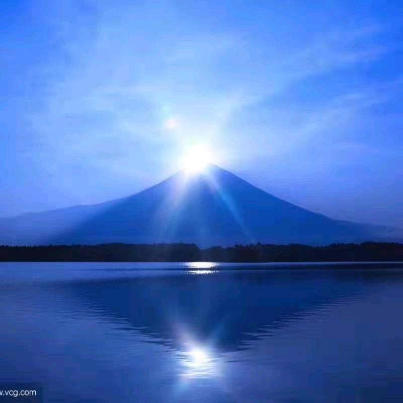 寂寞星球的玫瑰🌹