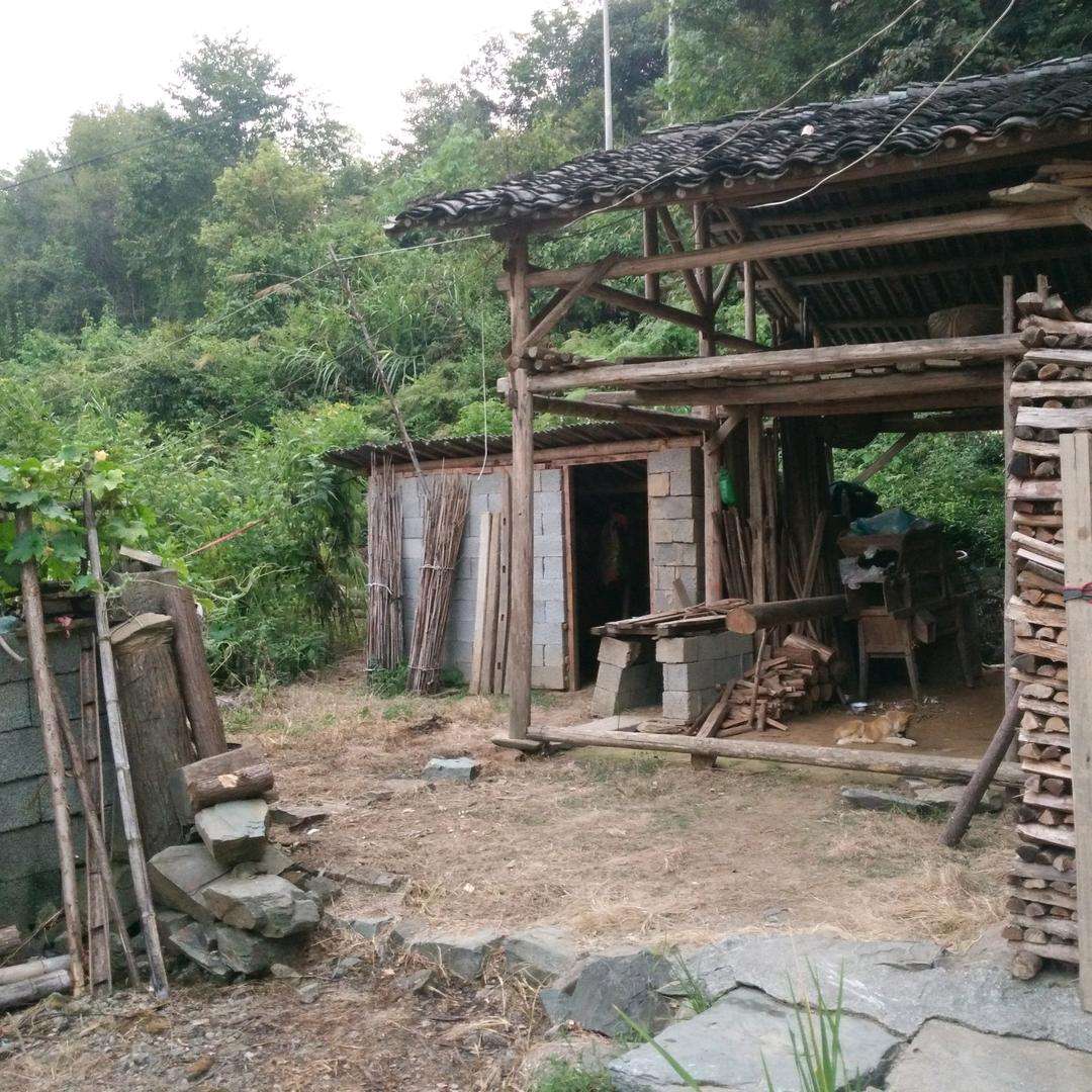 广权