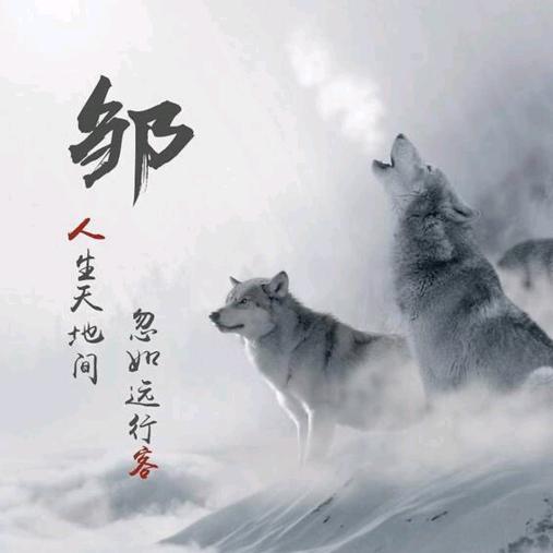 光头哥老式大碗麻辣烫