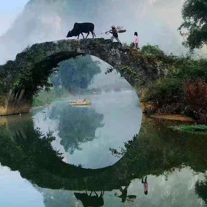 酒醉的蝴蝶ccxx