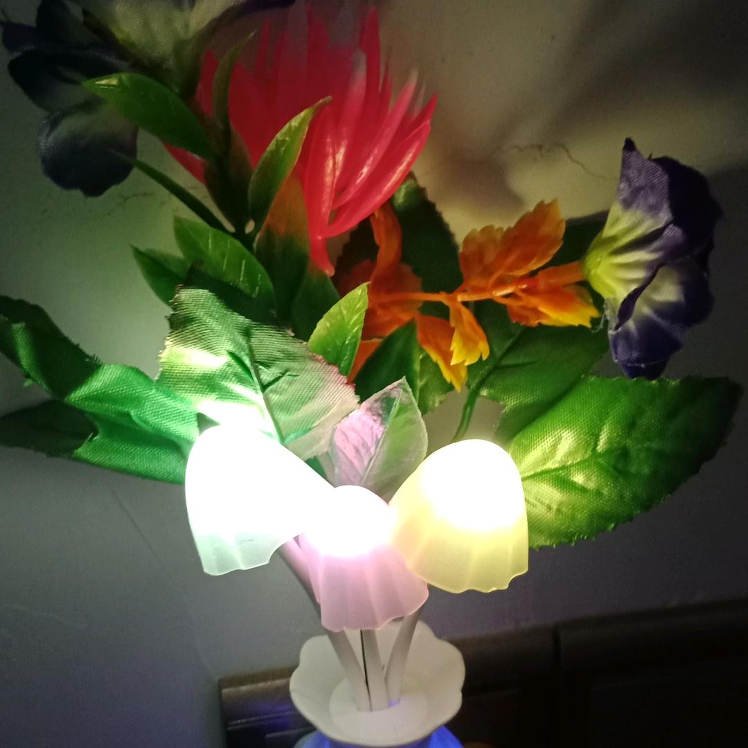 陈周放粮，河南，漯河，L，👍👍👍