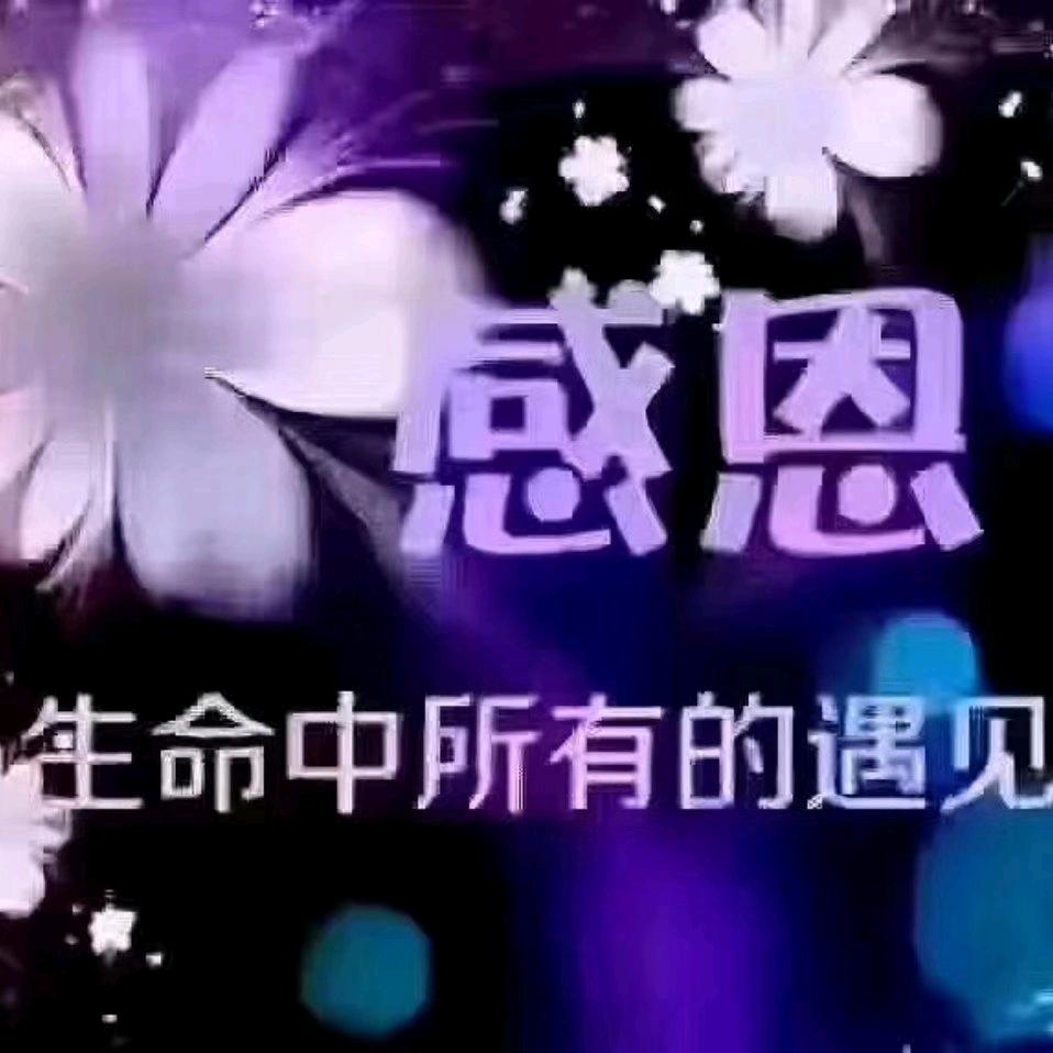 蜀蠡居紫砂艺术