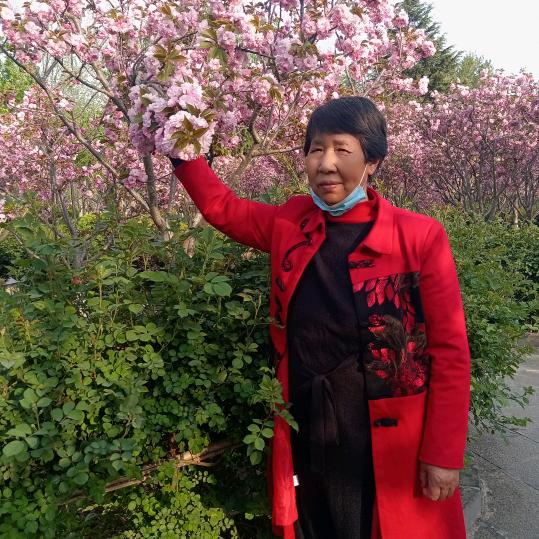 梨园戏曲    任秀粉