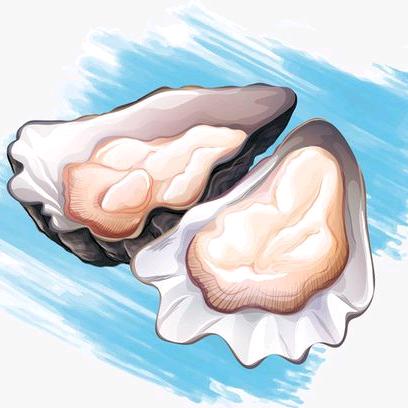 海蛎哥（橙途民宿驿站）