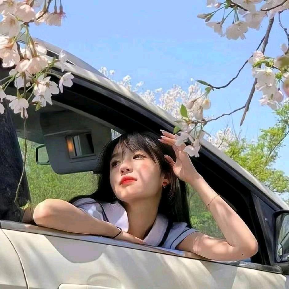 琴琴小趴菜