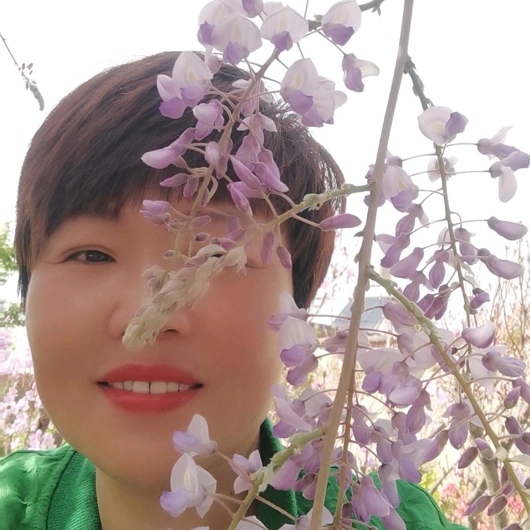 温暖的阳光