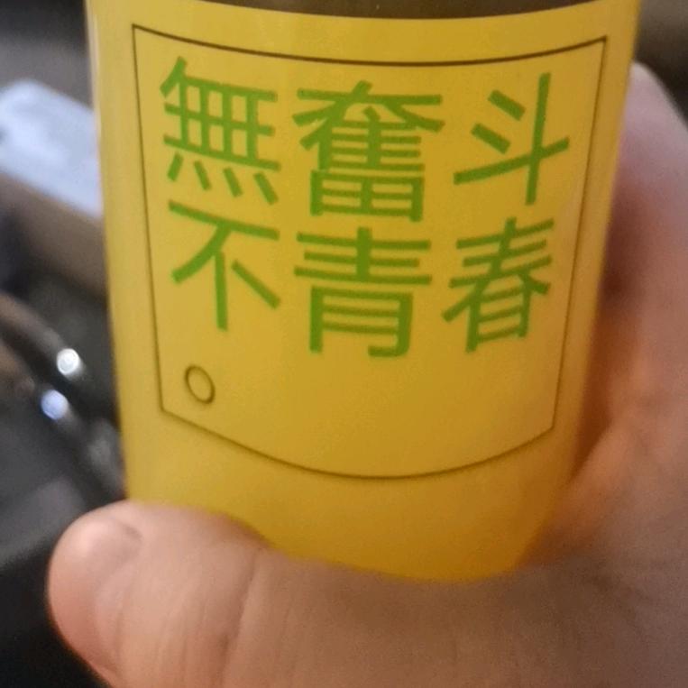 洋洋Y
