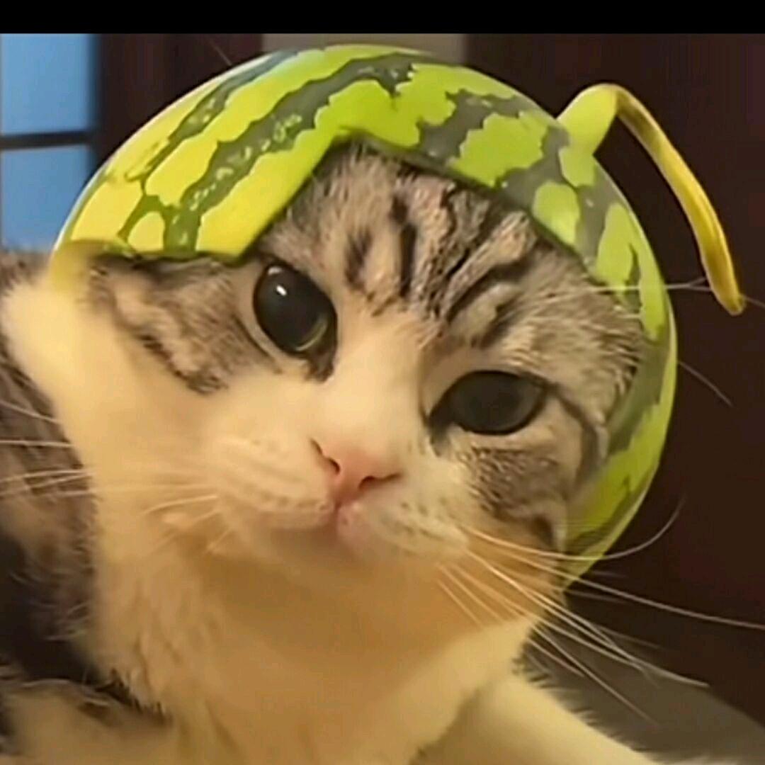 秋风扫落叶