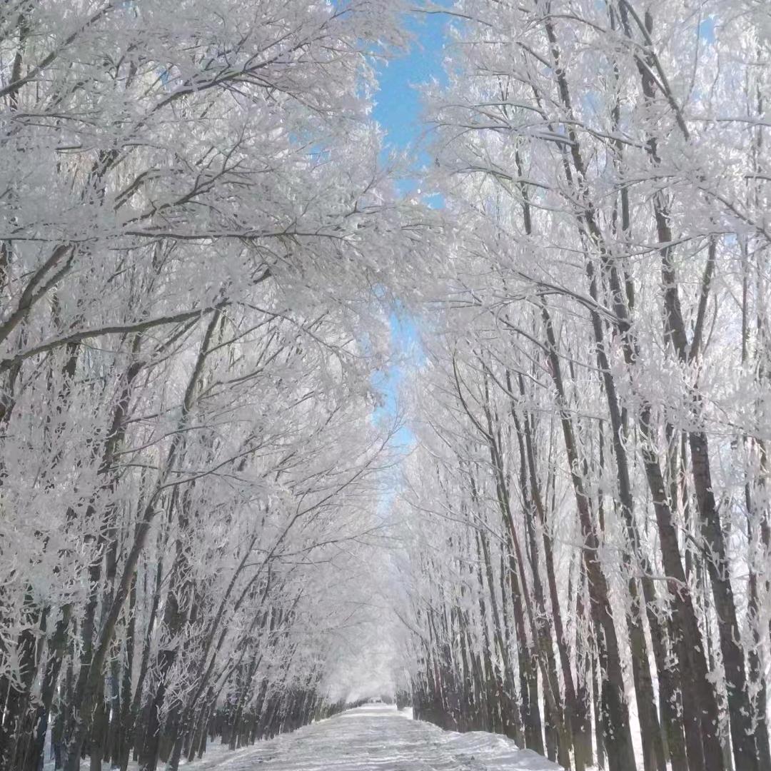 秋天的落叶🍃🍃🍃