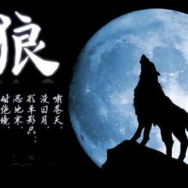 狼