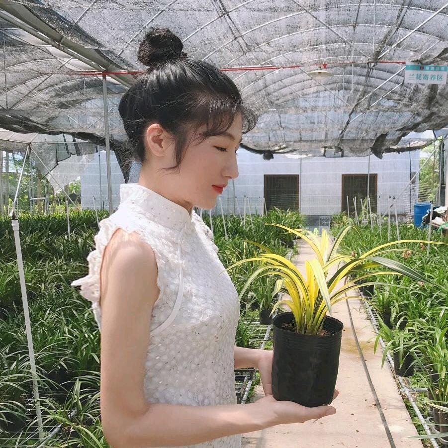 喜花里兰业