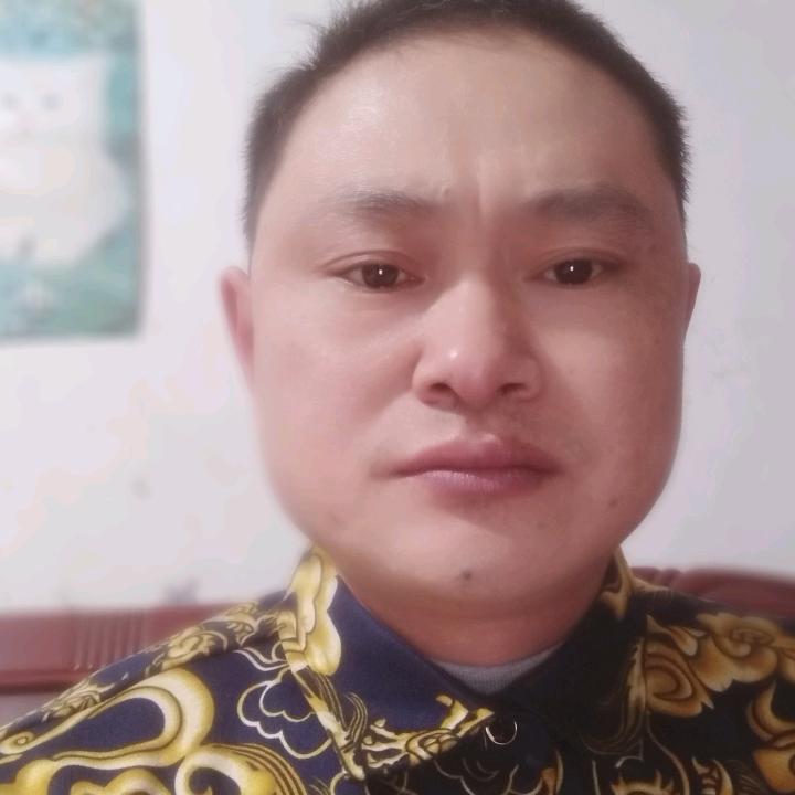 情为何物