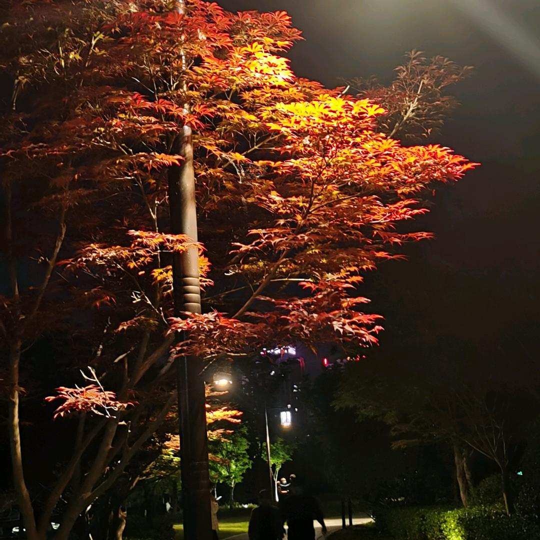 骑着蜗牛去赶集