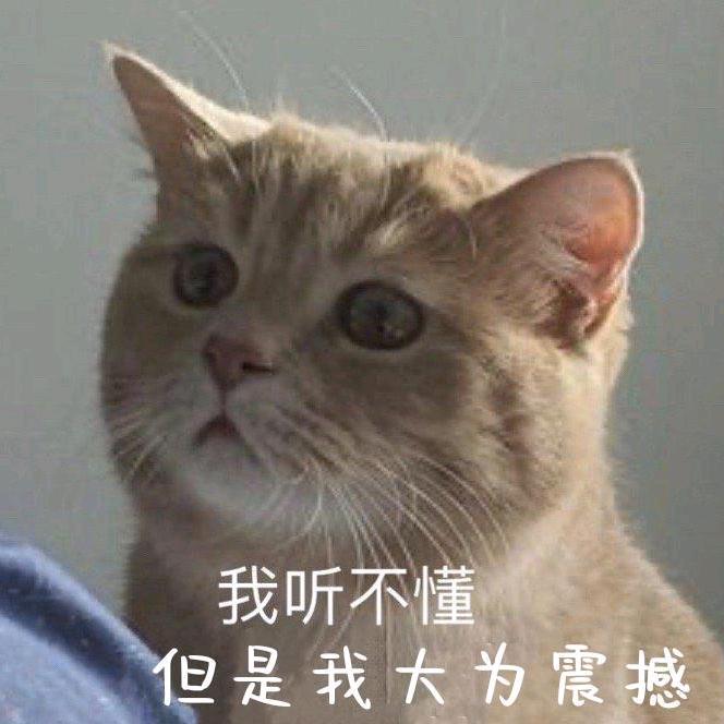 某不知情的果粒多头像