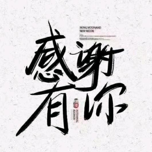 山西鑫顺风物流有限公司