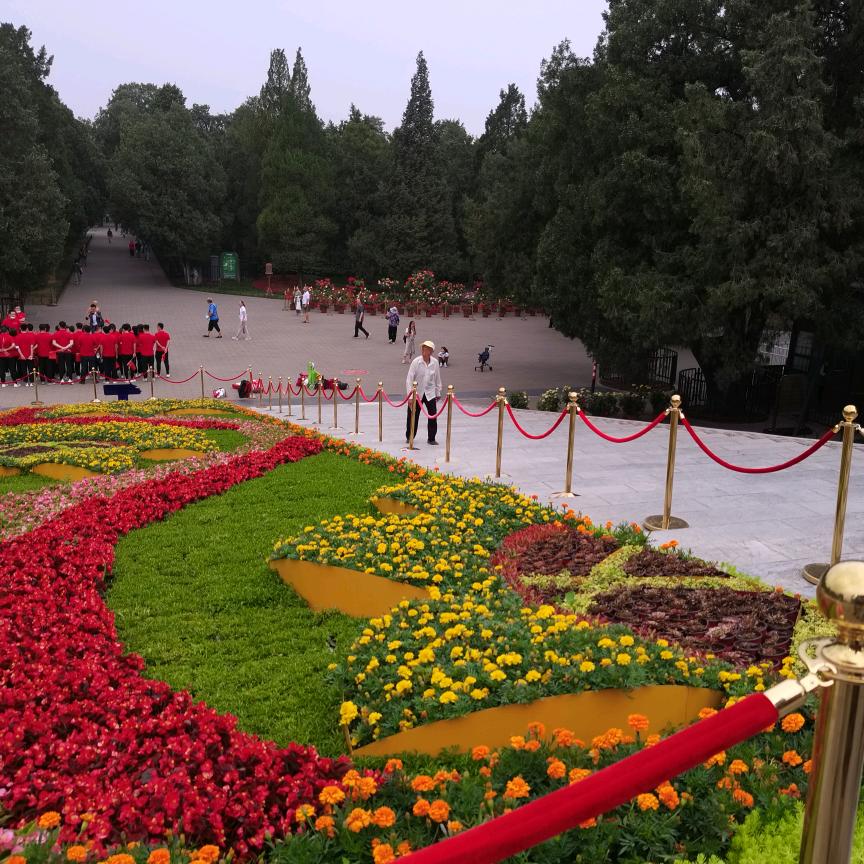 闲来无事逛抖音