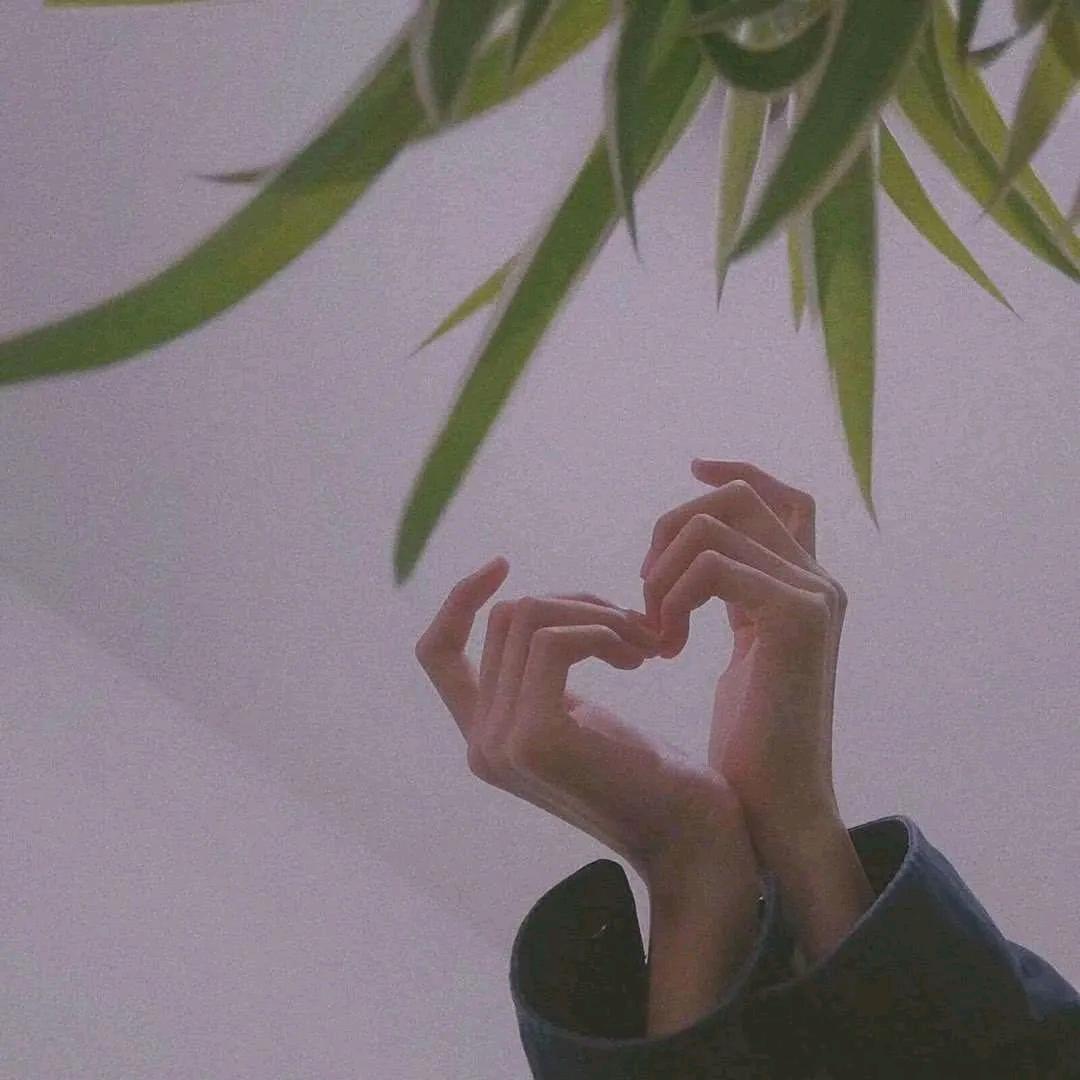 咸柠七(๑><๑）