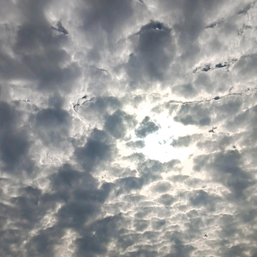 郭家二小姐（婷婷）💪💪