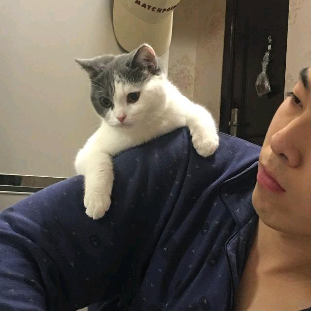 渣至旁的大神