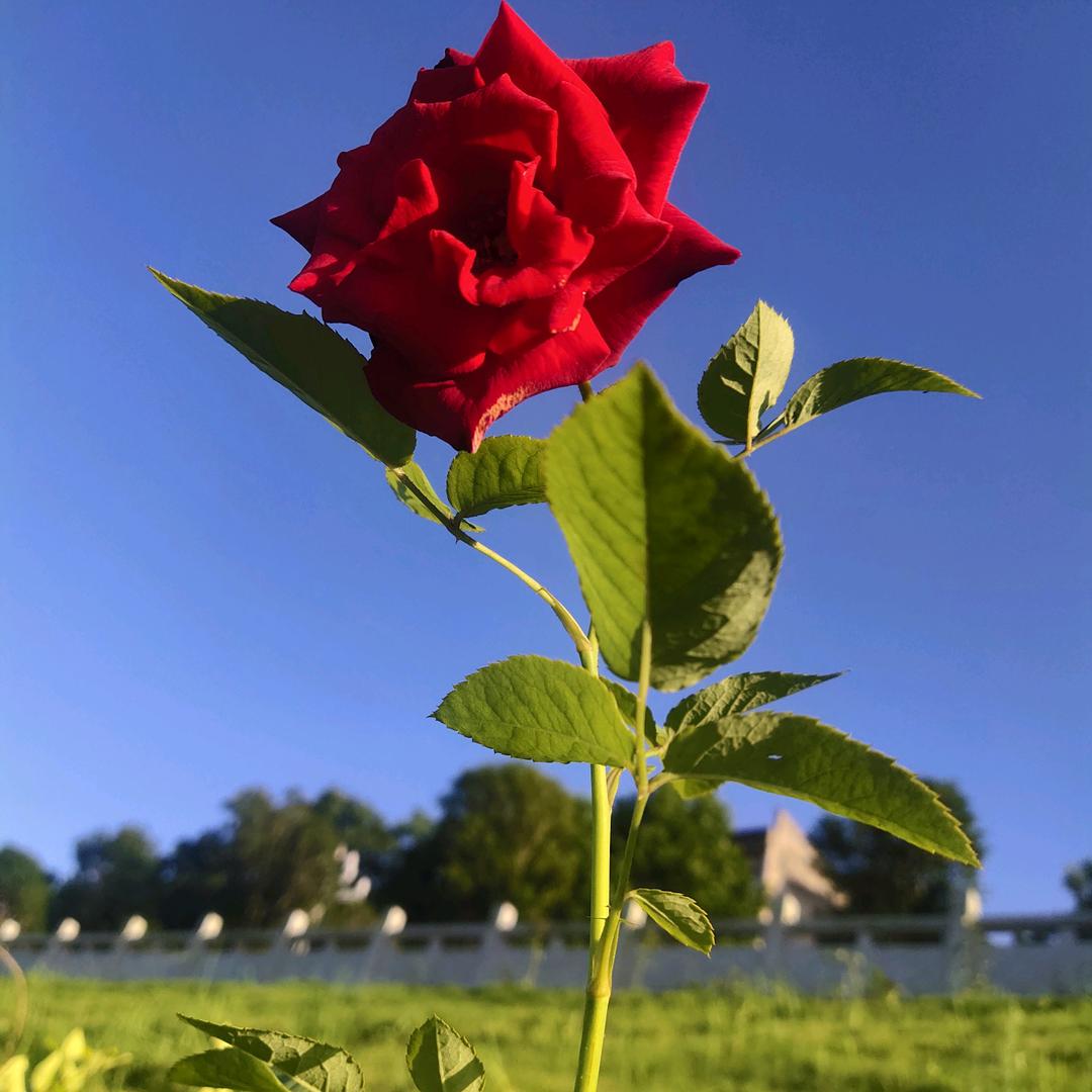 简❤️遇女装