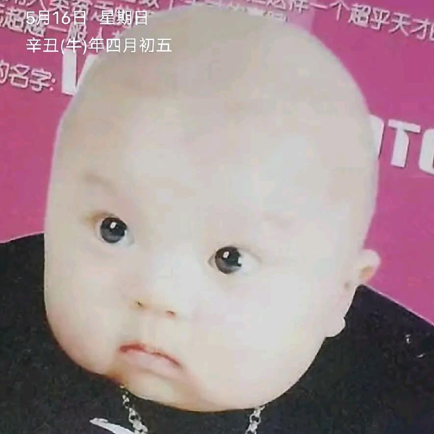 亮子