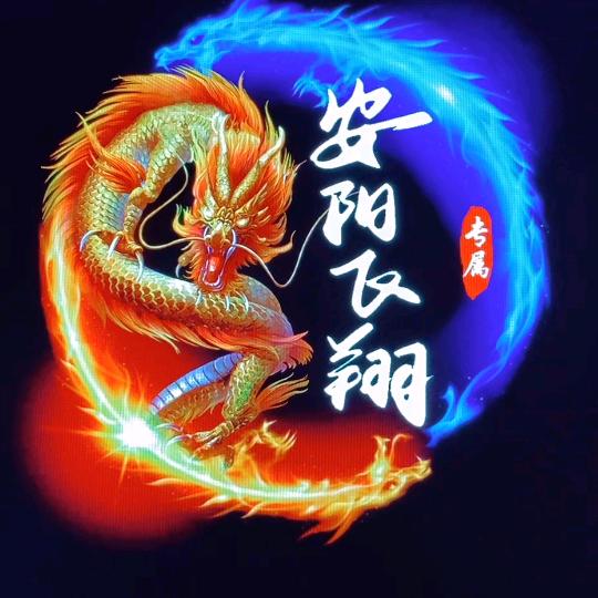 安阳飞翔