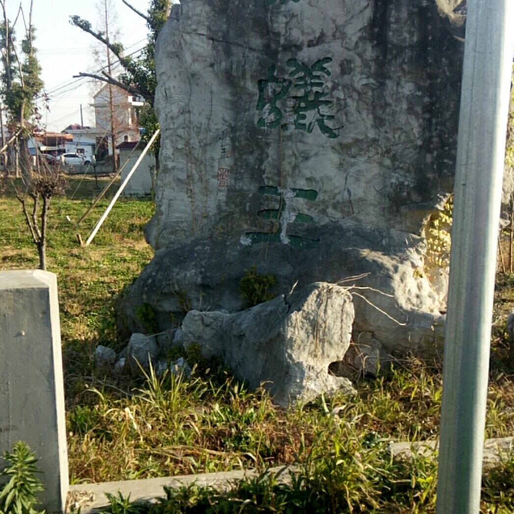 雄鹰