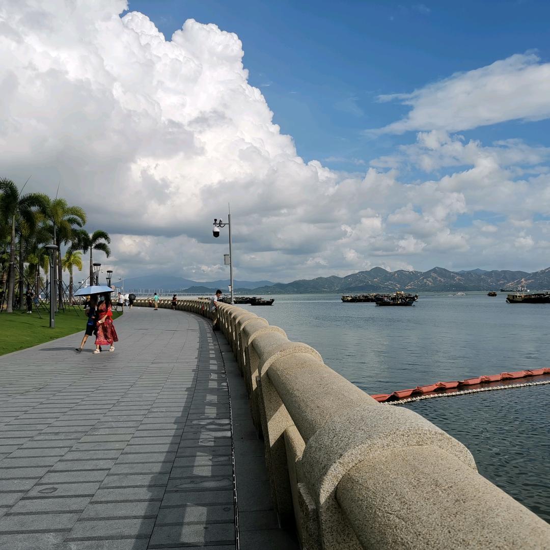 🌈风飞飞🕊️🕊️