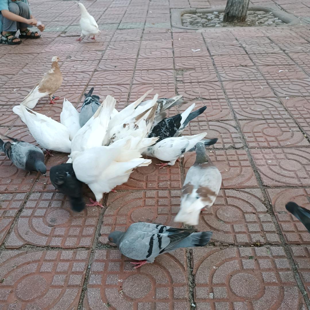 你疯我傻笑
