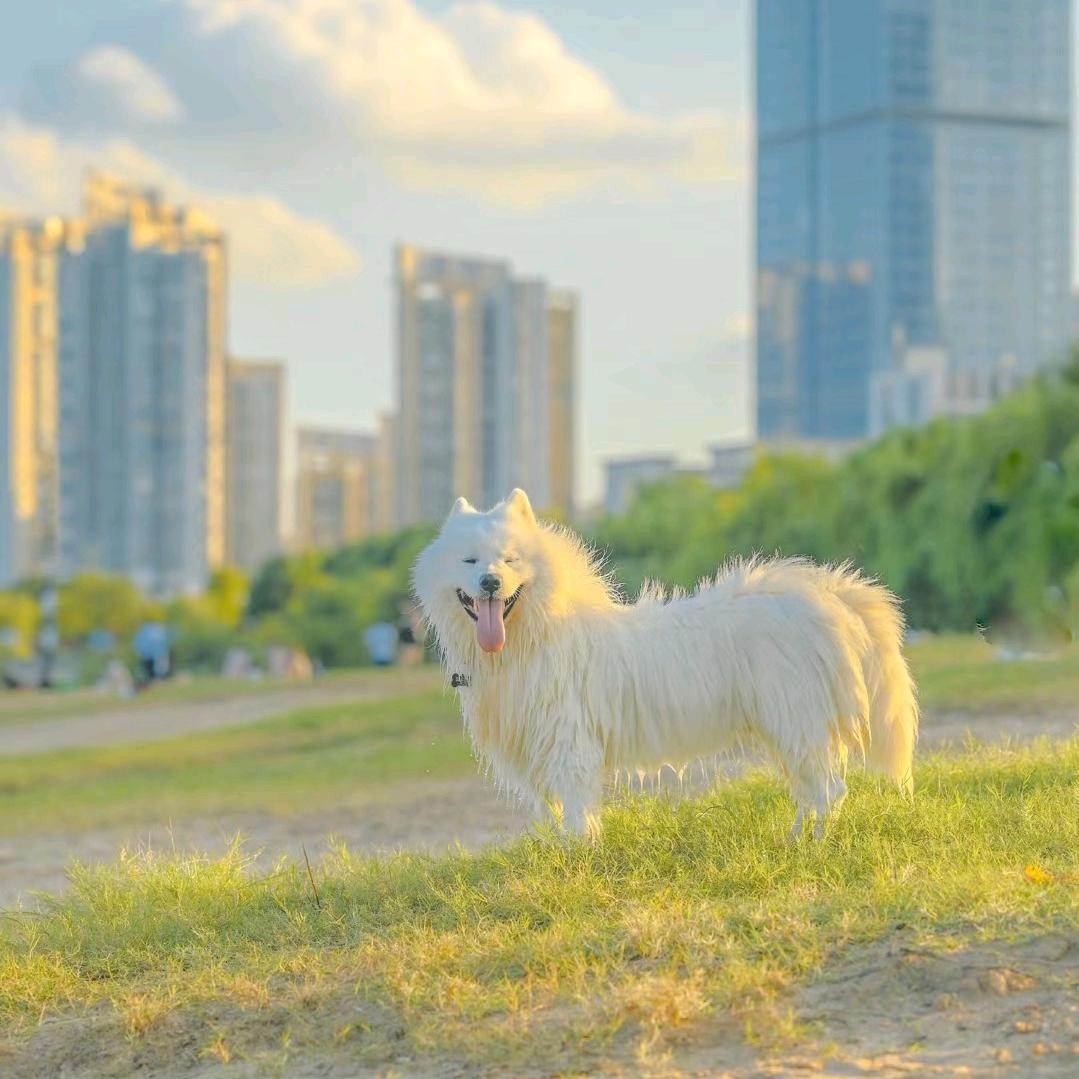 龙王恨小天钓鱼