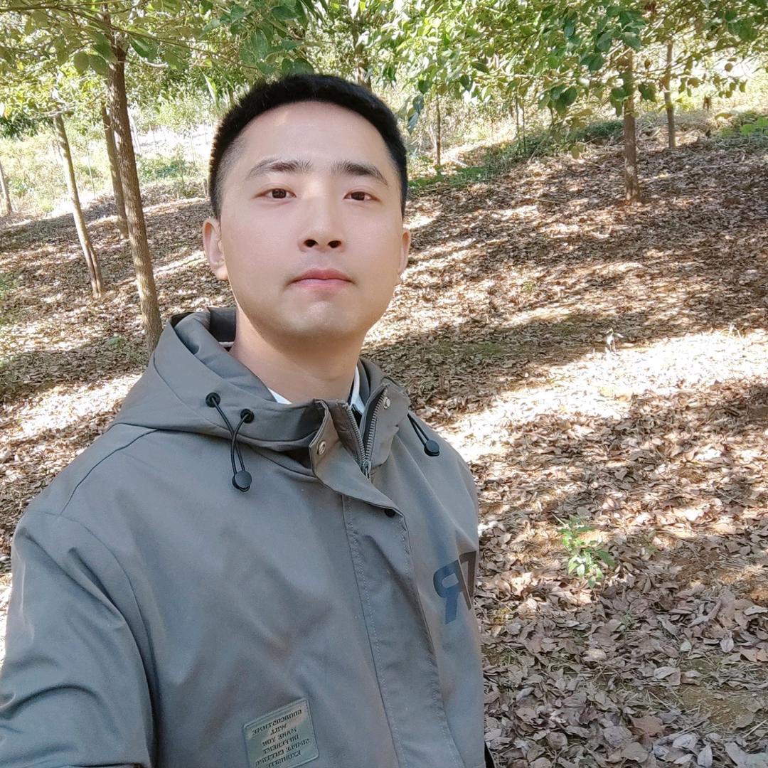 诚阳苗木主营香樟-（赵斌）