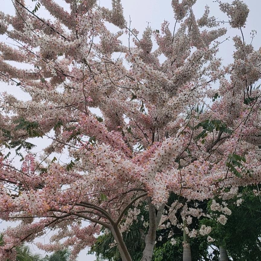 @宅鲜森（永修店）🌈🌈🌈开开心心?
