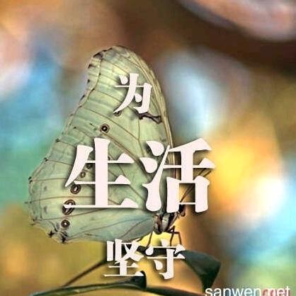 嘉琪头像