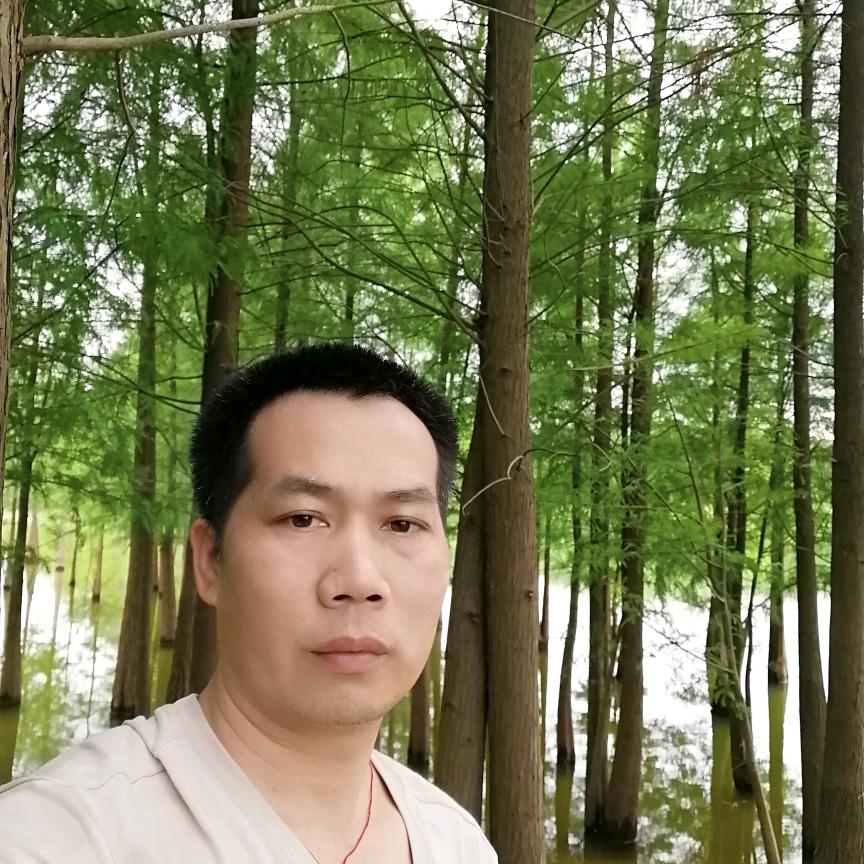 炬兴