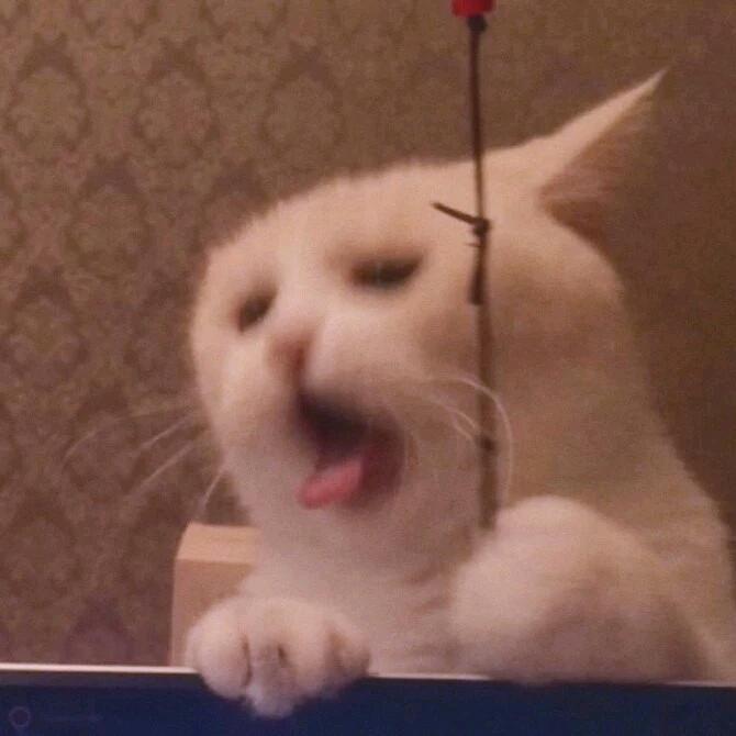 虾和蟹黄（不熟版）